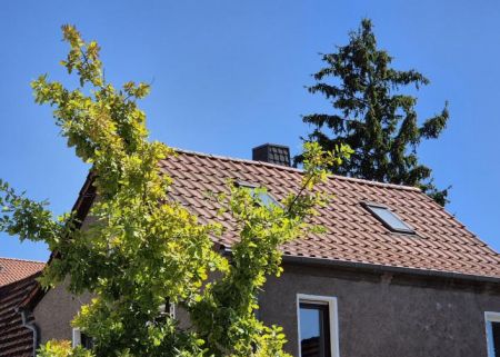 Objektansicht